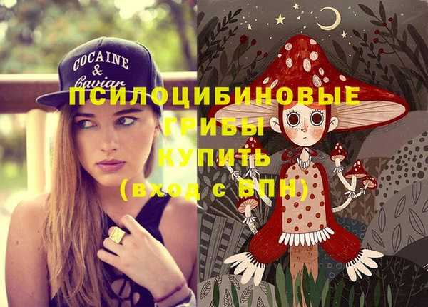 бошки Саяногорск
