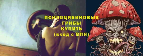 бошки Саяногорск